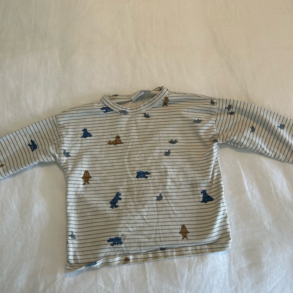 Zara Kids Long Sleeve Striped Shirt with Blue and Brown Details